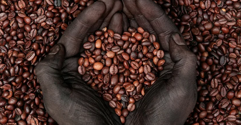 изображение с яндекс картинки