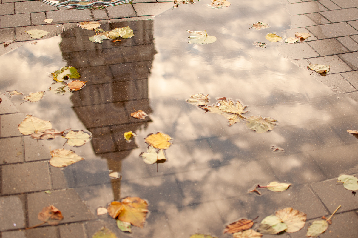 Личное фото