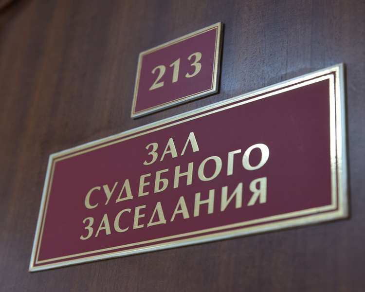     В Курской области осудили двух мужчин за подготовку теракта