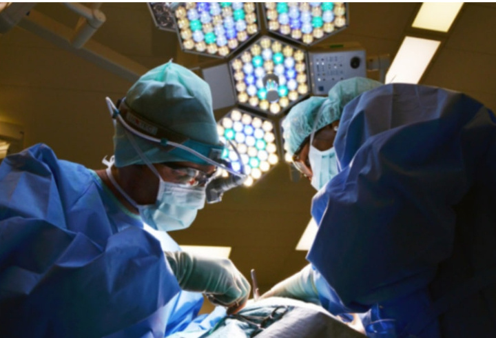 фото: pxhere.com