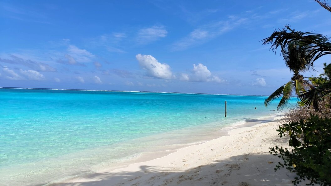    Фото: Maksim Konstantinov/Global Look Press