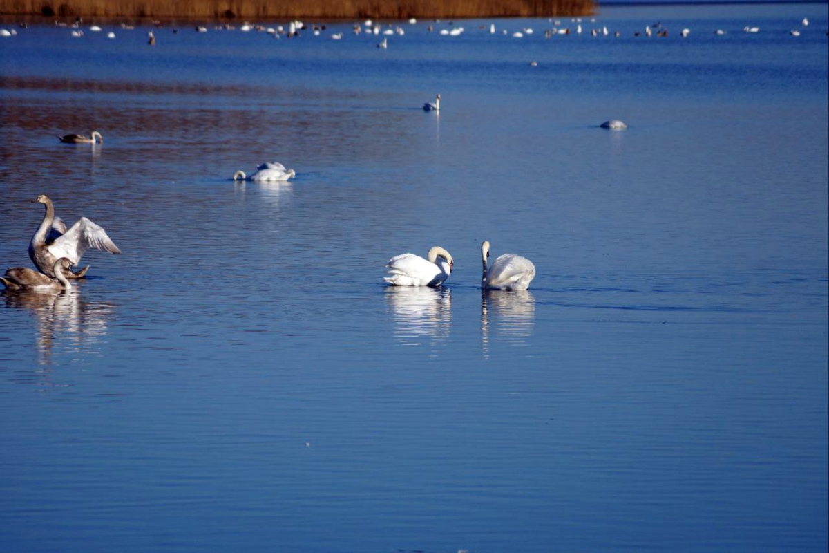 Немного отдохнем — и в путь!Фото:Ирина САБИРОВА