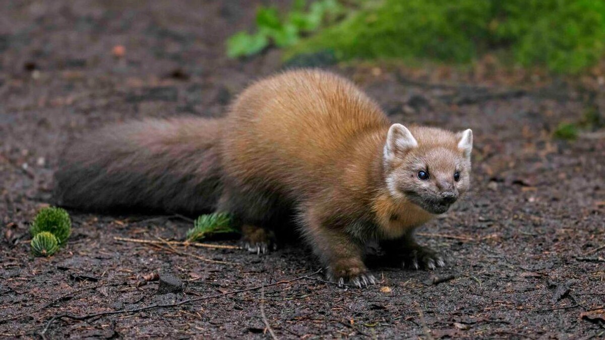 Фото с сайта: https://sputnik.by/20250514/