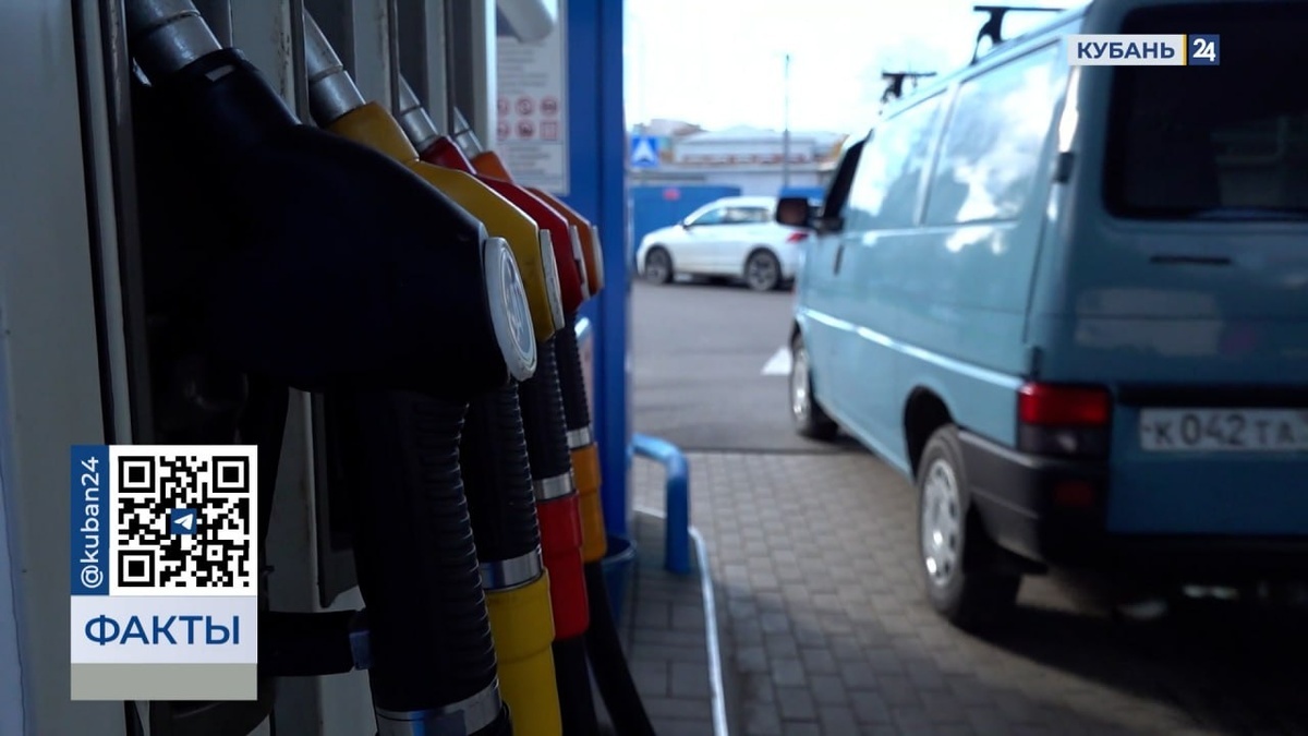    Скриншот видео телеканала «Кубань 24»