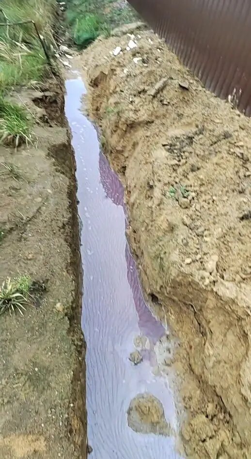    Фото: скриншот из видео в соцсетях