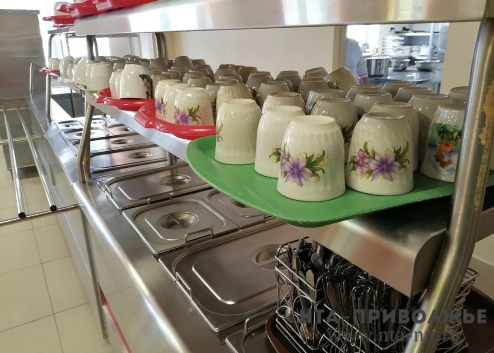    Школьники и студенты из многодетных семей получат бесплатное питание в Мордовии