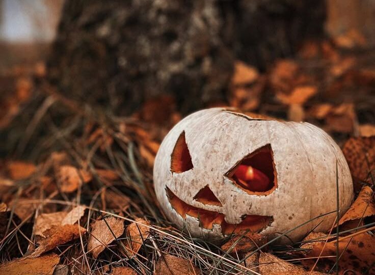 Тыква на Хеллоуин — откуда эта традиция?