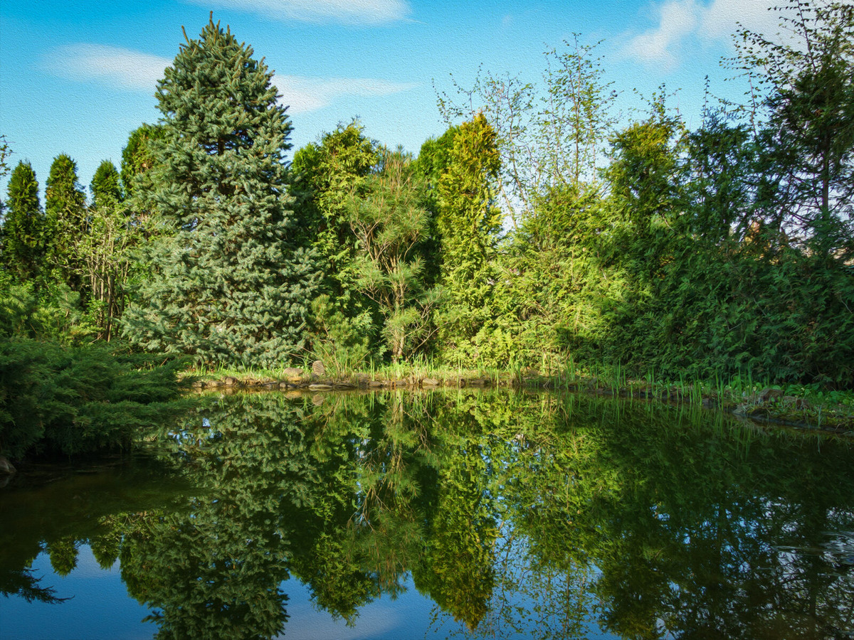 Наш пруд, созданный своими руками