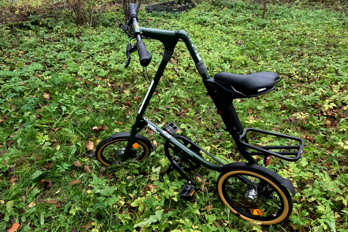 Странный зверь, на траве)