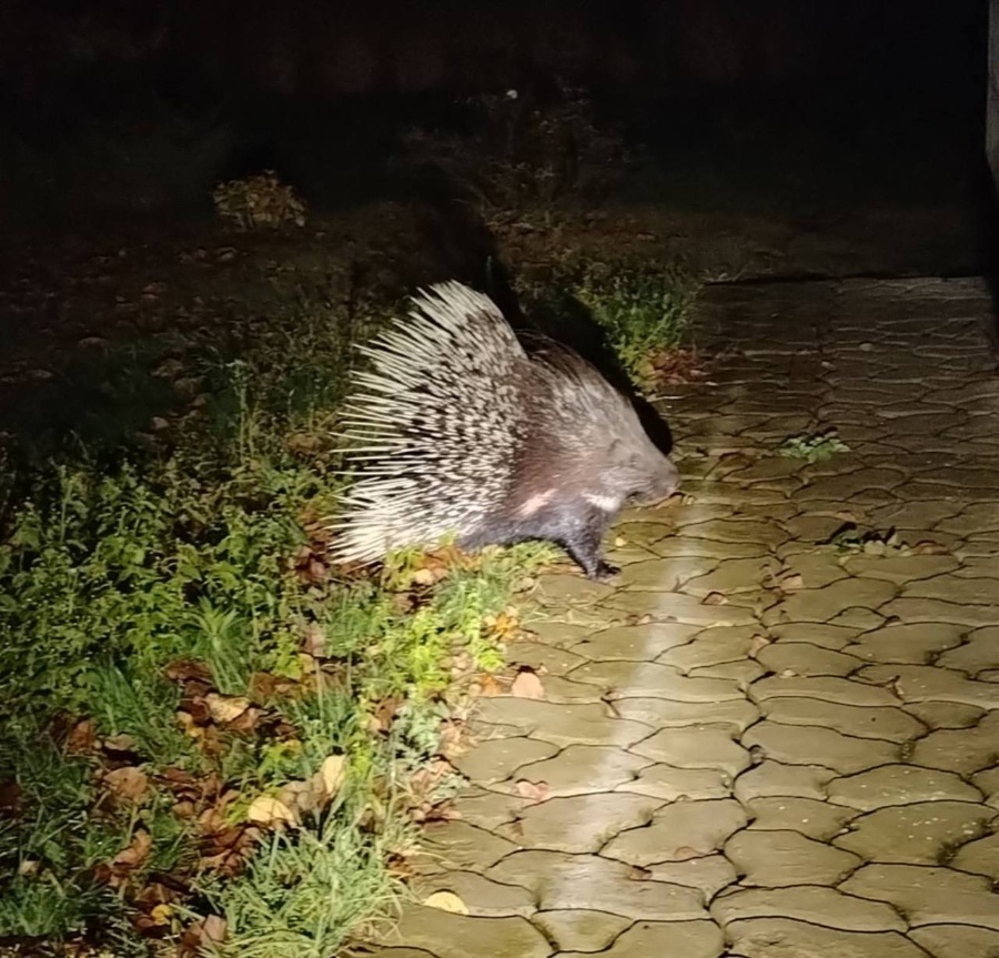    Фото: Минприроды