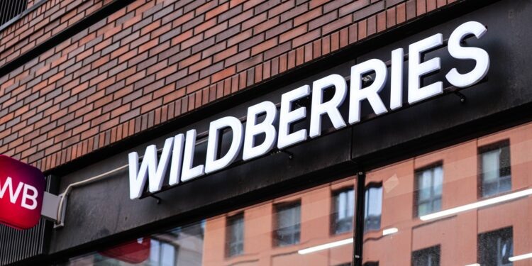    Илья Тушев / Вести Подмосковья