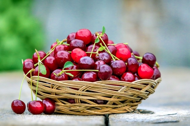    Фото: pixabay.com