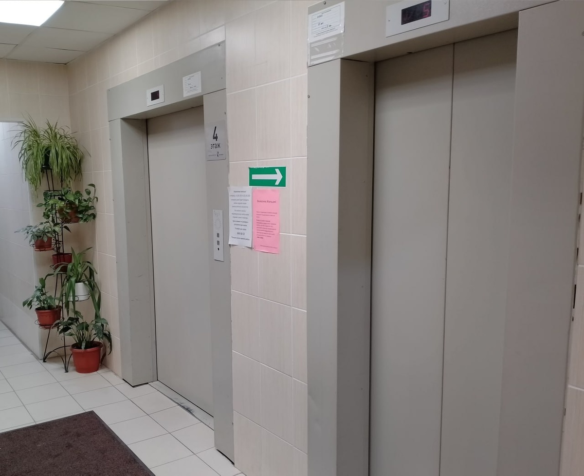    Фото: abn.agency