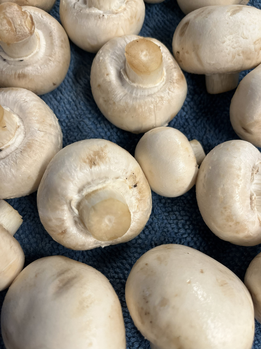 фото из личного архива