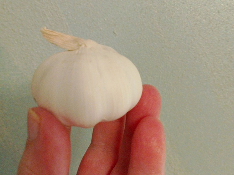     Чеснок улучшает состояние сосудов. фото: архив МК в Великом Новгороде