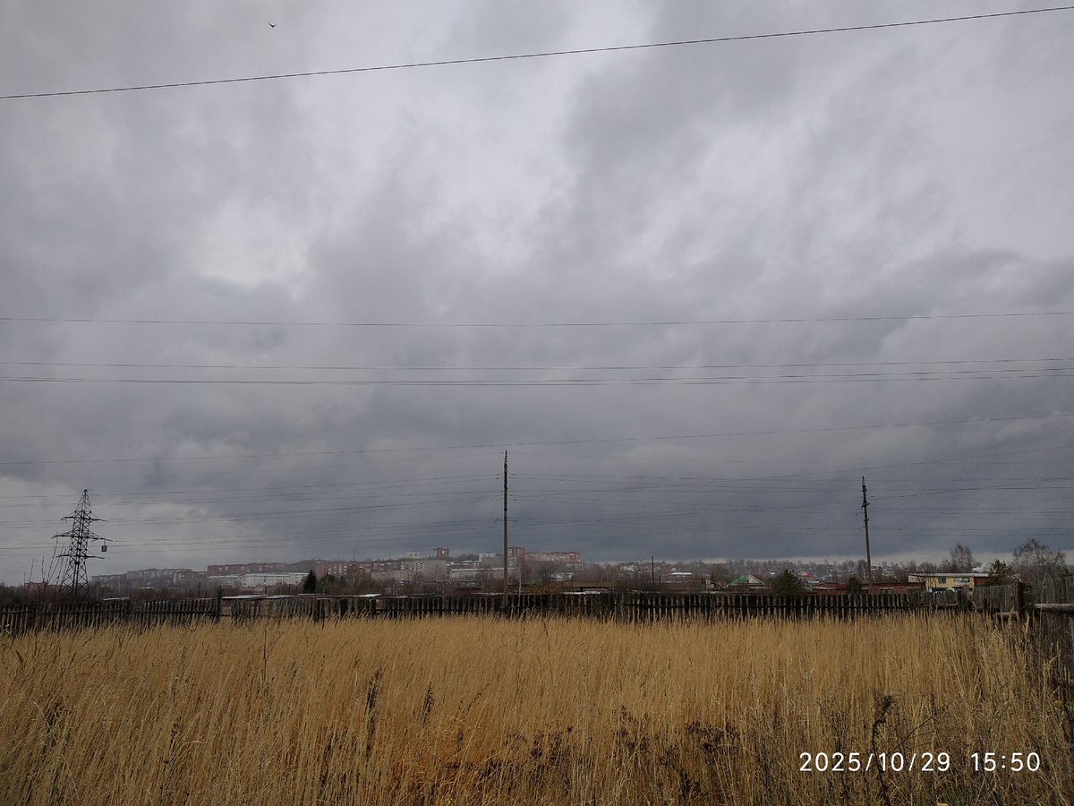 Вид из сада на город