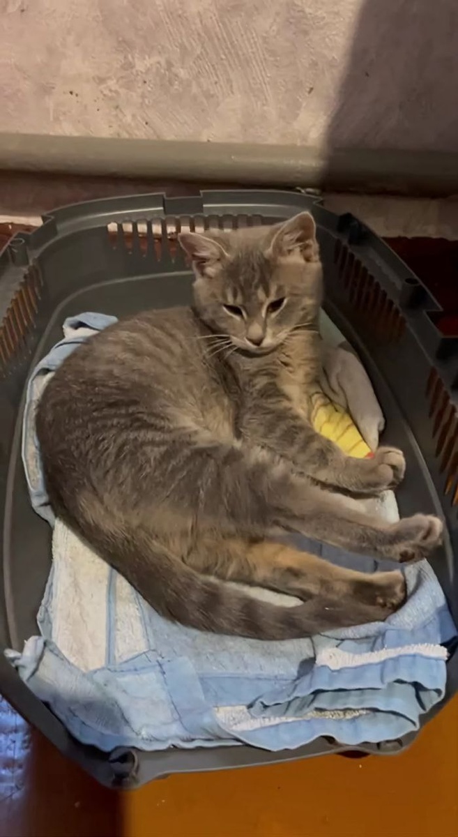 А тут я уже немного подрос