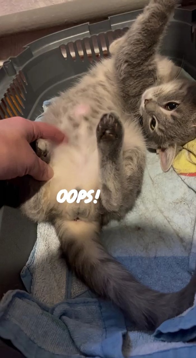 Вот видите розовое пятнышко? Доктор говорит, что это мне не нужно в будущем