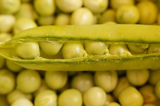    Фото: pixabay.com