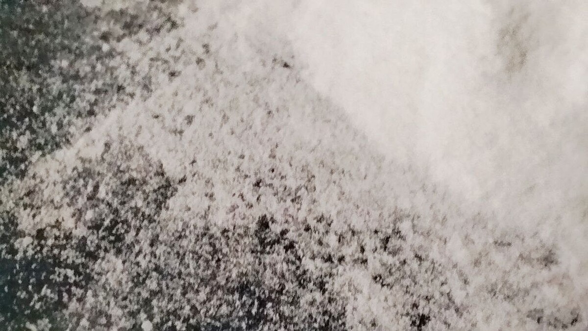    Фото: телеканал «Краснодар»