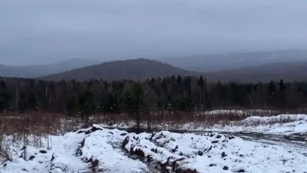    СУ СКР по Красноярскому краю