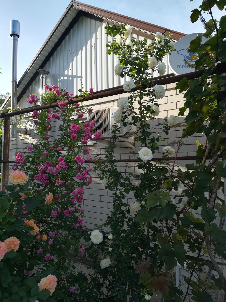 Фото 2023 года. 