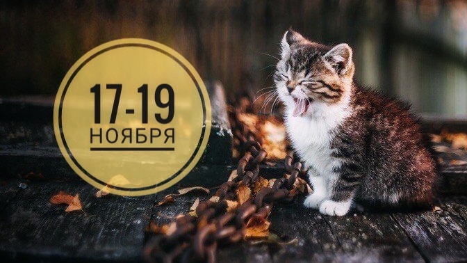 Нумерологический прогноз на 17-19 ноября