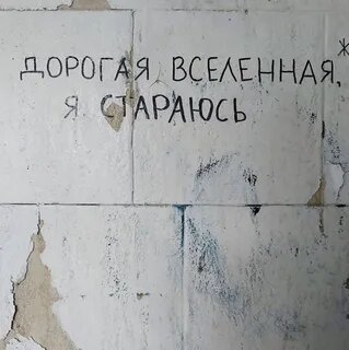 Изображение найдено в сети Интернет в свободном доступе