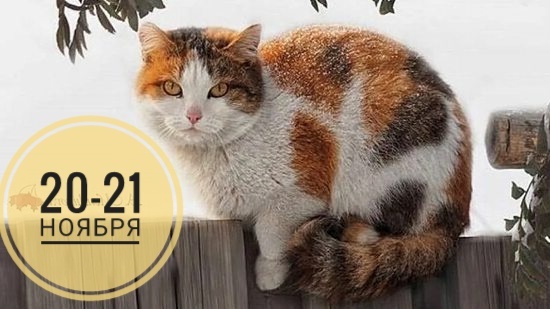 Нумерологический прогноз на 20-21 ноября