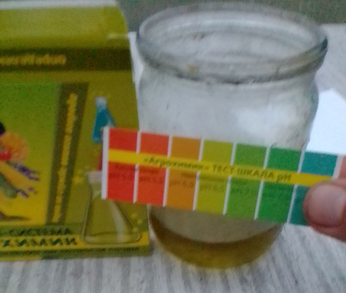 фото автора: самостоятельное определение рН почвы на участке