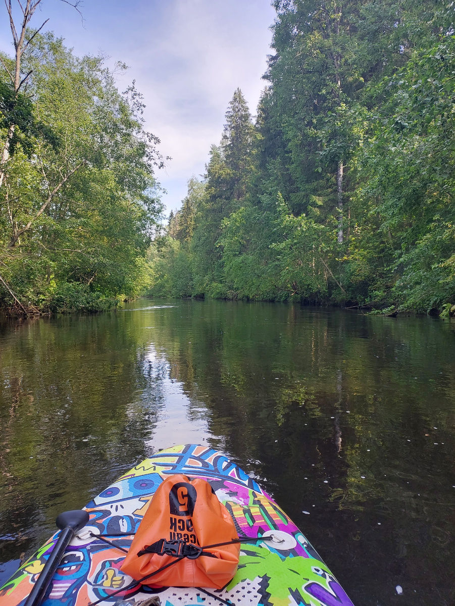 Арендованное снаряжение