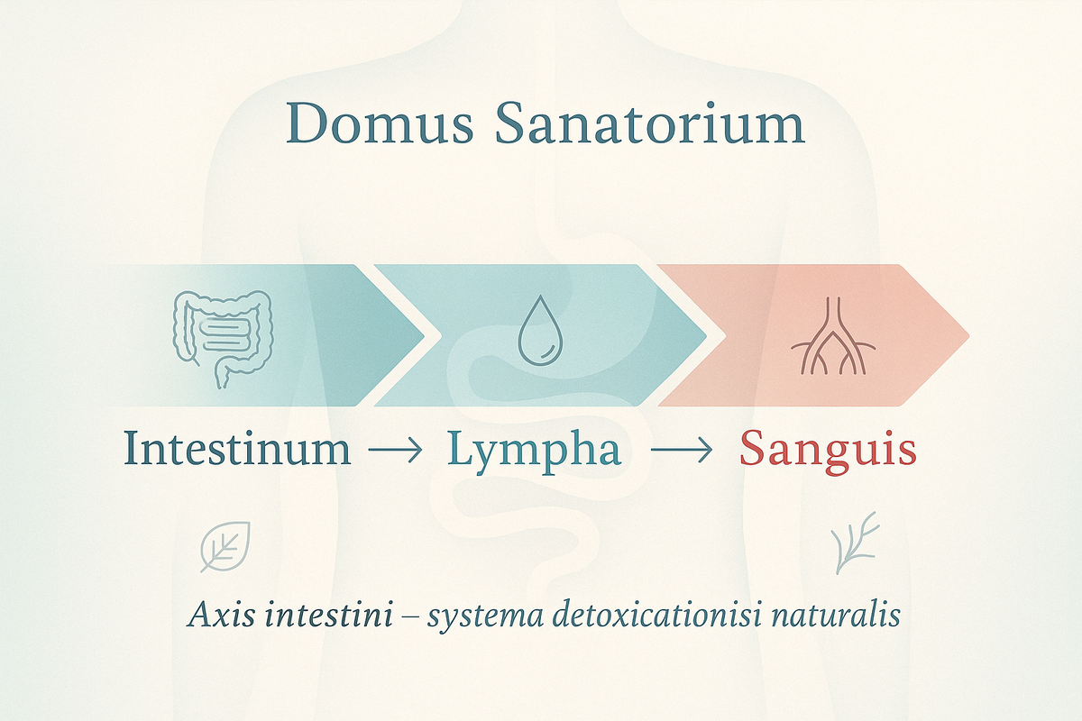 После болезней и антибиотиков восстановить организм можно- через кишечник. Метод профессора-гастроэнтеролога Погромова — физиологический путь к равновесию микробиома, лимфы и крови.
