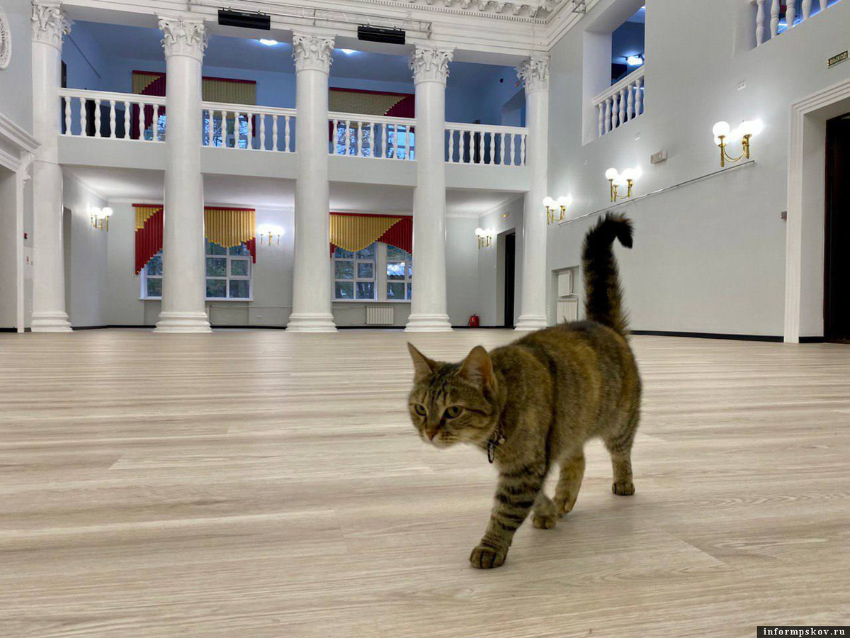 Фото из Telegram-канала главы Пскова Бориса Елкина