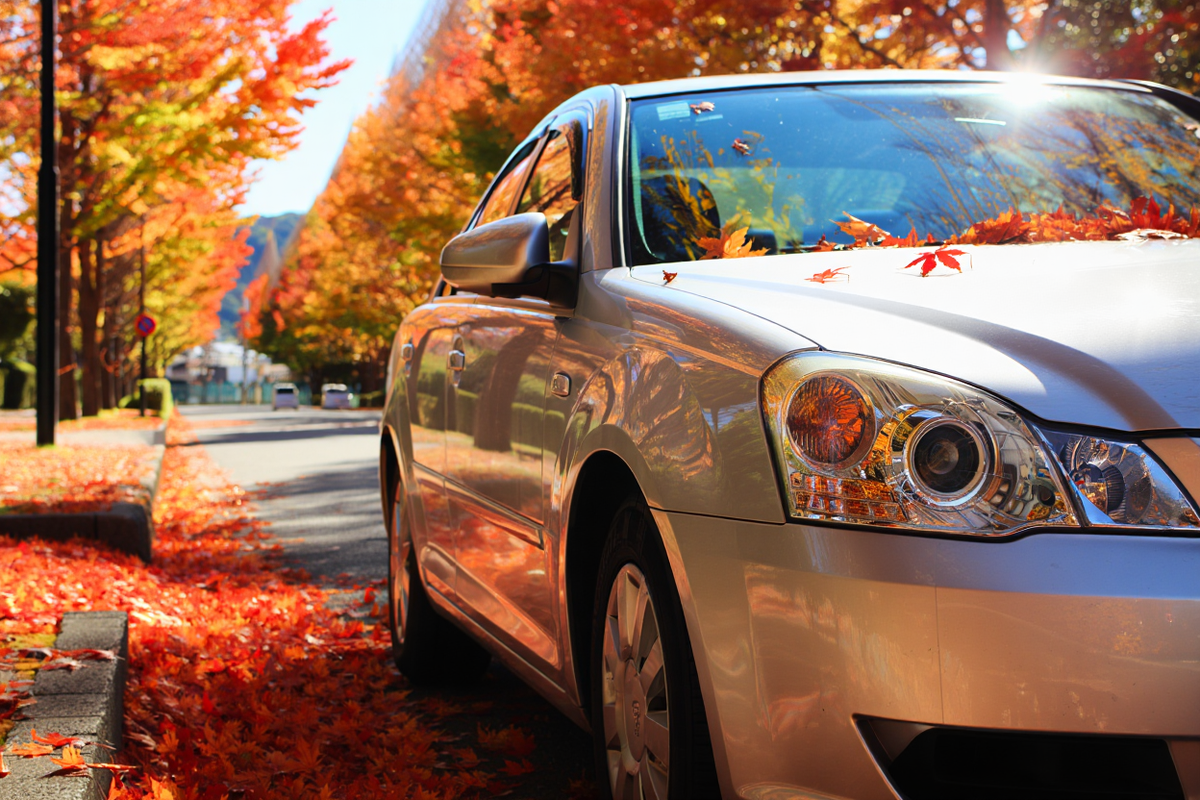 Сегодня выбор авто достаточно велик.