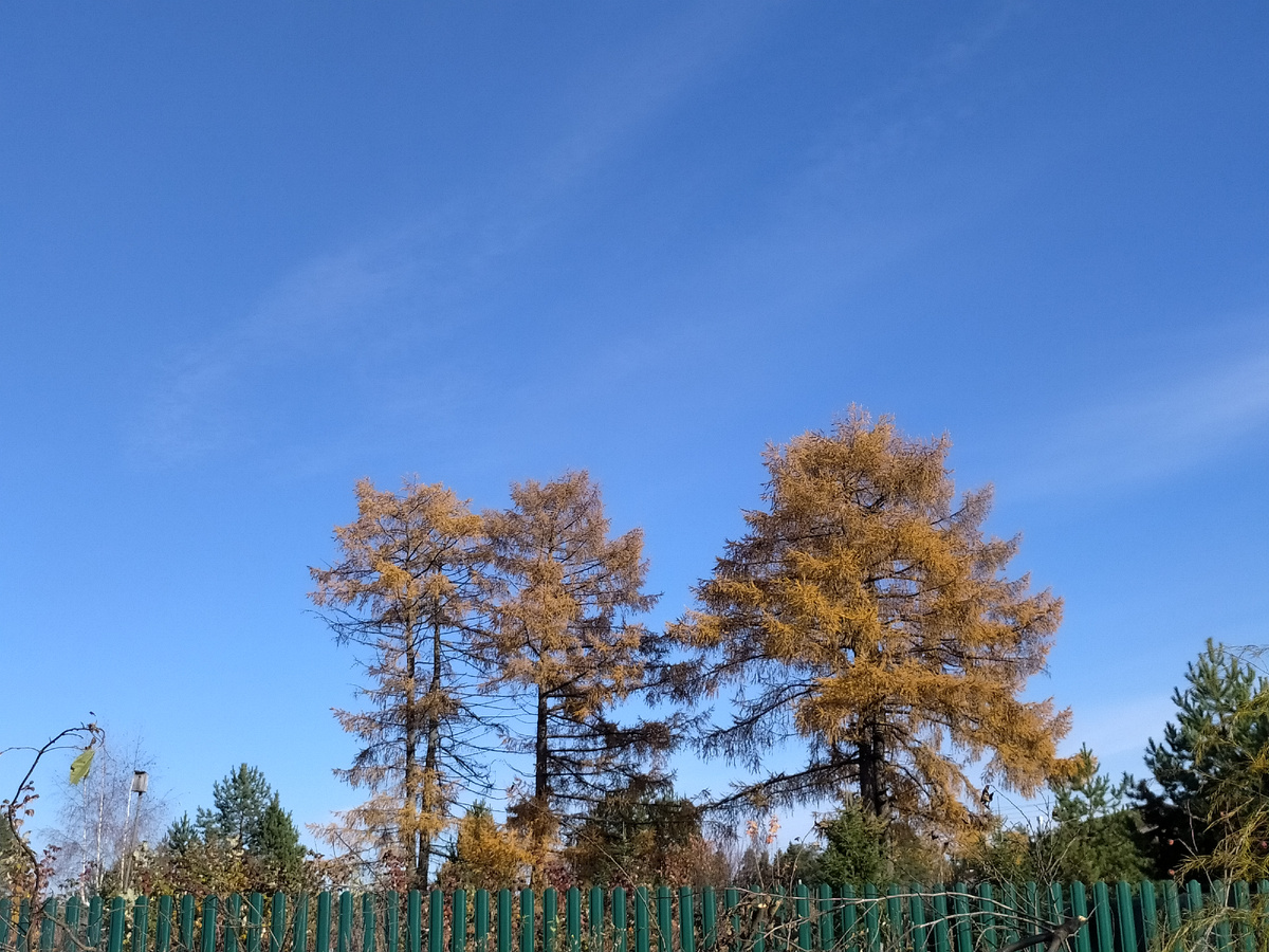 Прозрачное небо уже пахнет снегом