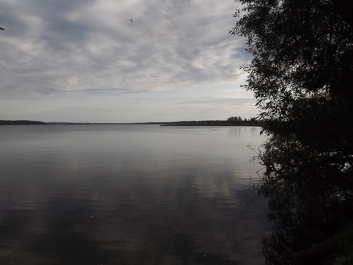 Вид на башню (белая точка слева) и стаю лысух (чёрные точки на воде)