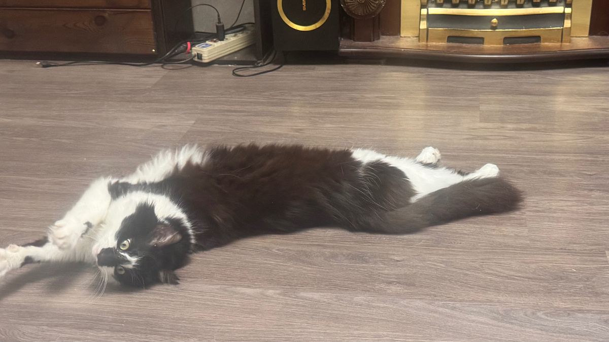 фото из личных архивов