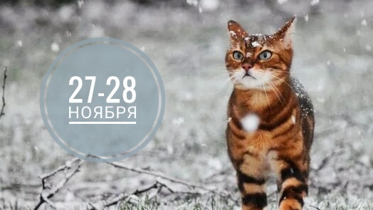 Нумерологический прогноз на 27-28 ноября