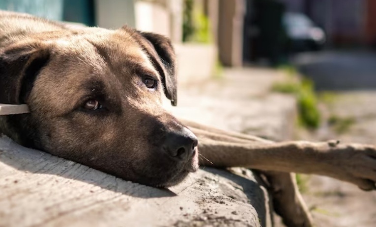    Фото: ru.freepik.com Илья Федоров