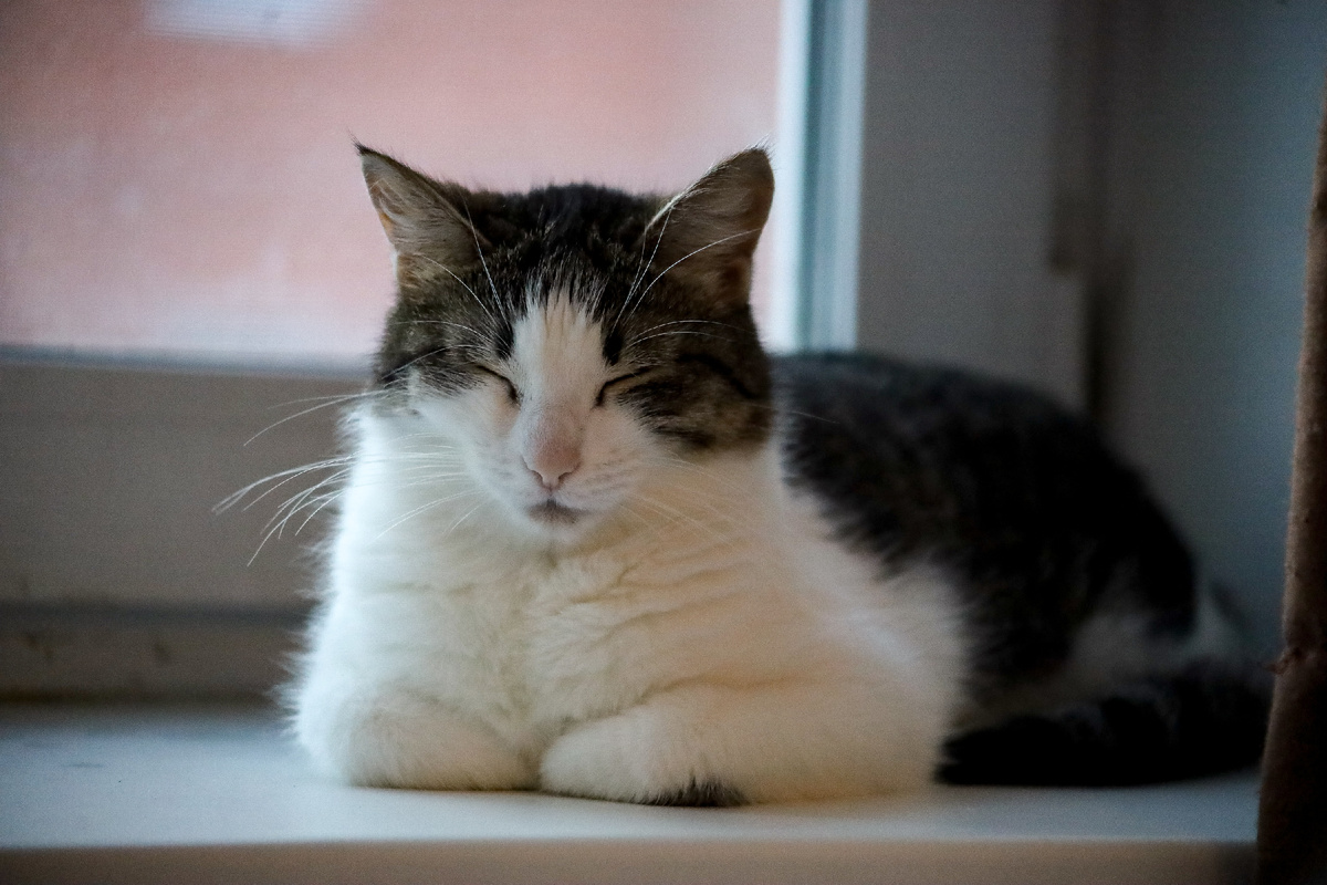 Elena Mayorova/Global Look Press
