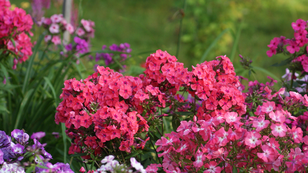Закат, но солнце за тучами.