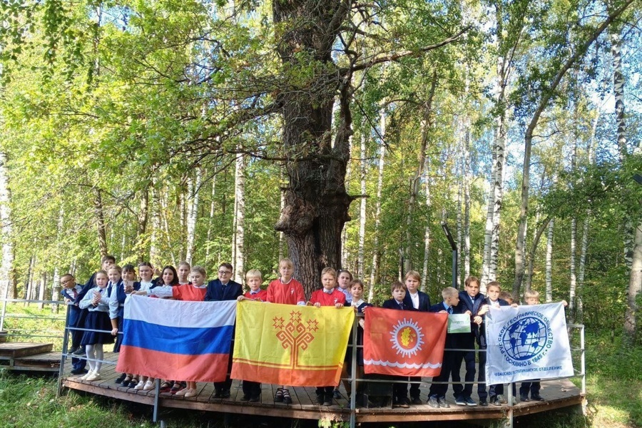 «Шумерлинский дуб» из Чувашской Республики