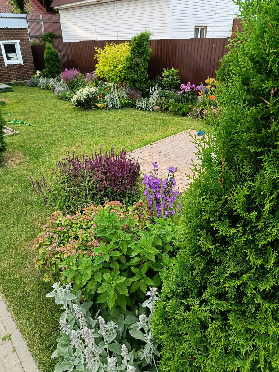 Сад автора, миксбордеры с многолетниками
