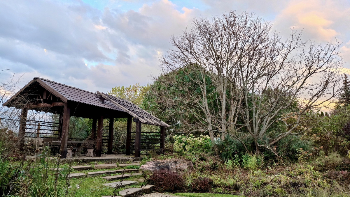 Фотографии взяты со страницы Людмилы Бубаник в ВК, если не указано иное. Ссылка в комментариях. Три фотографии, листайте