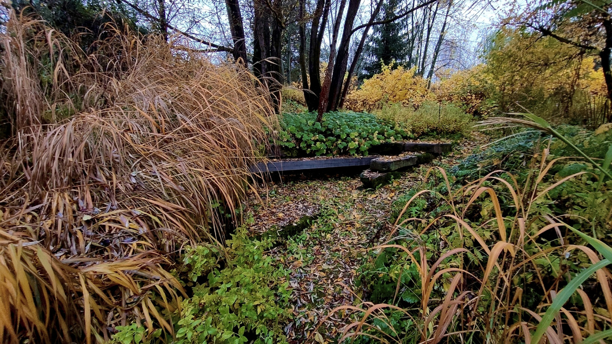 Две фотографии