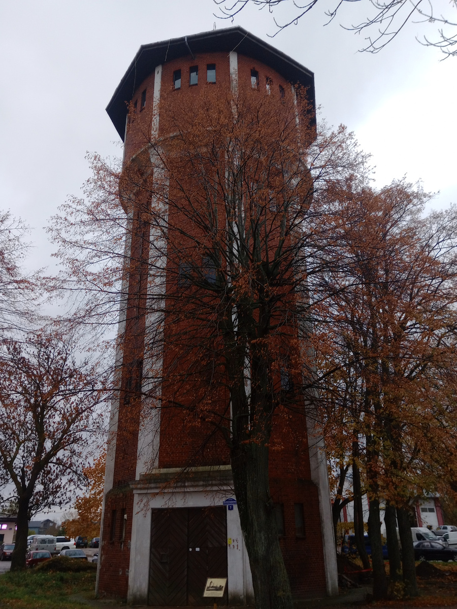 п Янтарный Калининградская область Какая красивая здесь золотая осень ! 