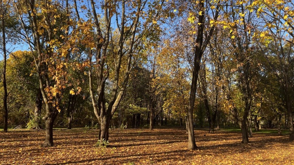   Фото: Г. Ященко. Газета "Земля"