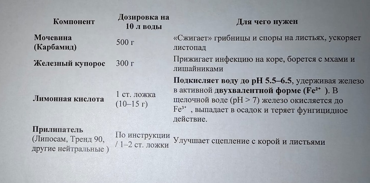 Таблица и фото Натальи Мироновой