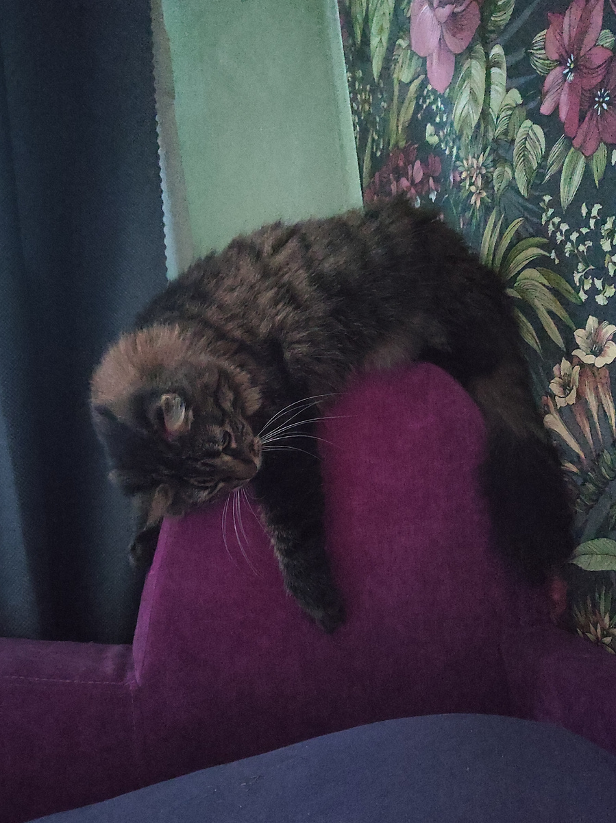 Сейчас опять затянет своё - "ну не удобно же..." Уйди на кухню и не смотри