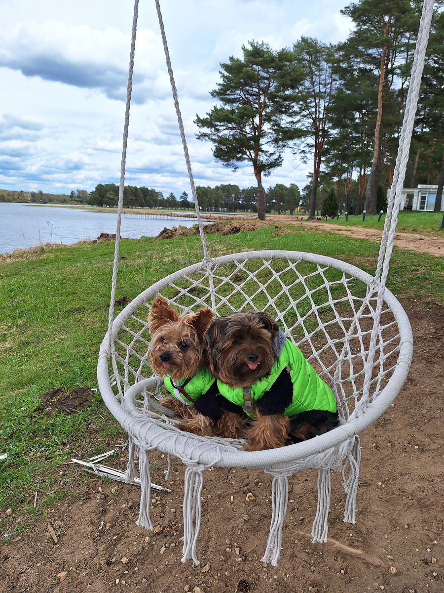 Малыши отдыхают на природе. 